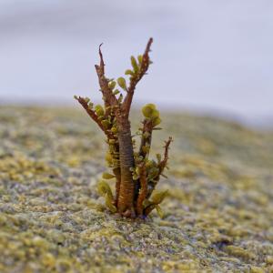 _08-19-2025_13481DSC_0033