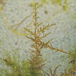 _08-19-2025_13491DSC_0043