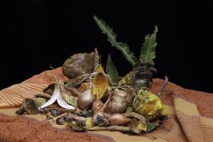 nature morte (2)