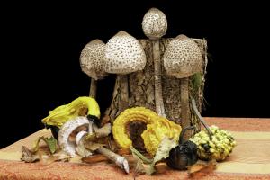 nature morte (3)