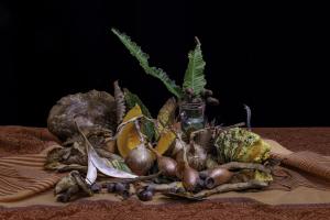 nature morte (1)
