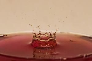 atelier goutte d'eau (8)