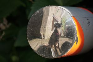 07_DSC02790