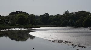07_DSC02799