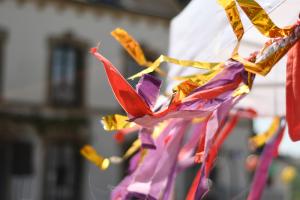 08_DSC_6210