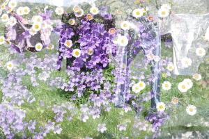 04_K1__9075