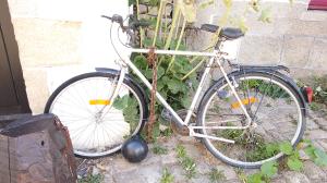 TH1_16_1 Insolite