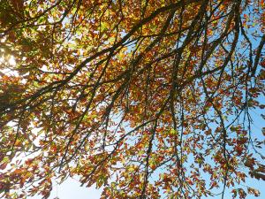 TH4_05_P1080722