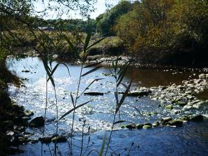 TH6_05_P1080738