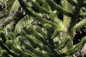 TH7_14_DSC02960