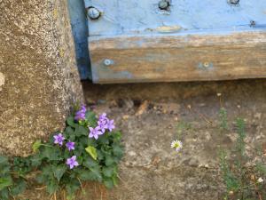 TH7_13_IMG_3228