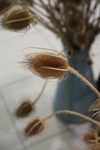TH7_12_DSC03786