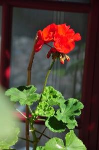 TH7_10_DSC_0046