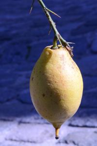 TH7_04_DSC_9399