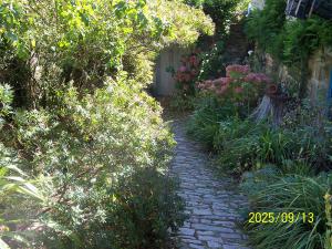 TH7_06_109_2645